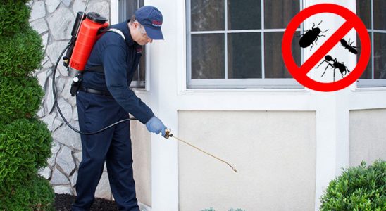 Salıpazarı Gümüşkurt İlaçlama böcek ilaçlama ve haşere kontrolü — ilaclama-tr.com